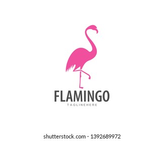 Flamingo logo ilustration vector template