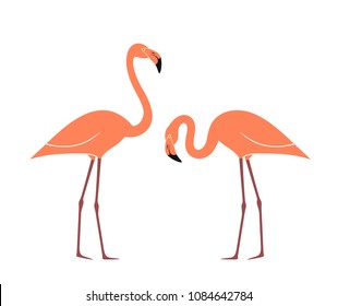 Flamingo logo. Isolated flamingo on white background