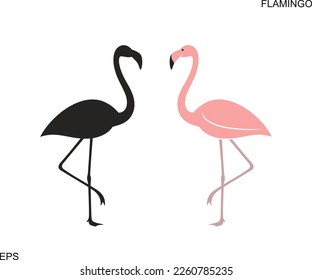 Logo de Flamingo. Flamingo aislado sobre fondo blanco