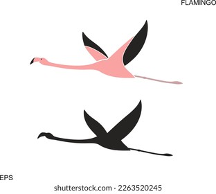 Logo de Flamingo. Flamingo aislado sobre fondo blanco