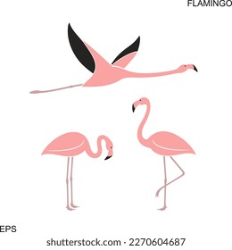 Flamingo logo. Isolated flamingo on white background
