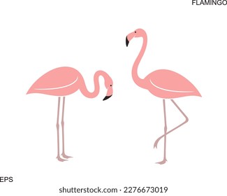 Flamingo logo. Isolated flamingo on white background