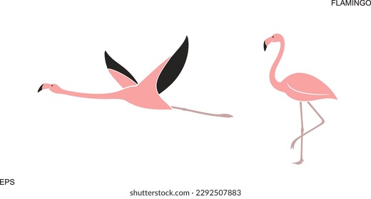 Flamingo logo. Isolated flamingo on white background