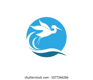 Flamingo logo template