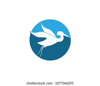 Flamingo logo template