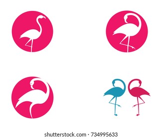 Flamingo logo template
