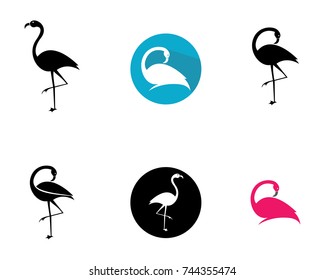 Flamingo logo template