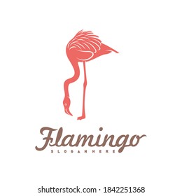 Flamingo logo template. Bird vector illustration, creative design.