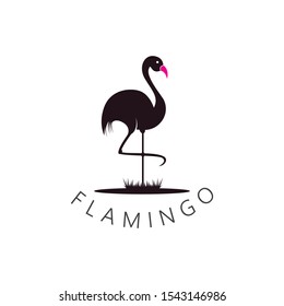 Flamingo logo template creative icon