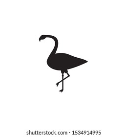 Flamingo logo template vector icon design