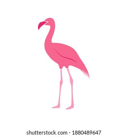 Flamingo logo vector art and graphics