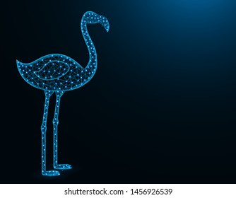 Flamingo low poly model, African animal abstract graphics, bird polygonal wireframe vector illustration on a dark blue background