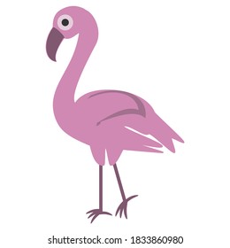 flamingo modern color cartoon character on white background
