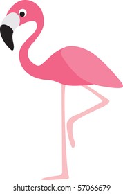 flamingo modern color cartoon character on white background