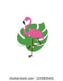 flamingo with monstera leaf on the background