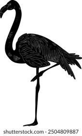 Flamingo Natural Look Black Vector Silhouette Design Element