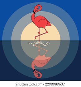 Flamingo on the background of the night sky with reflection in the water