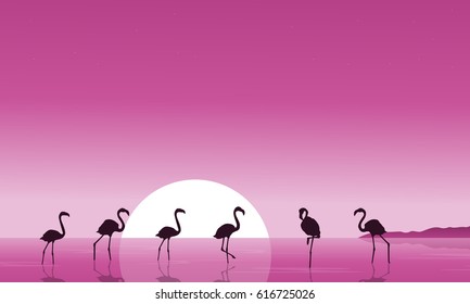 Flamingo on the lake scenery silhouettes