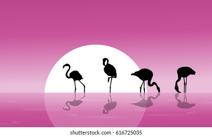 Flamingo on lake scenery silhouettes