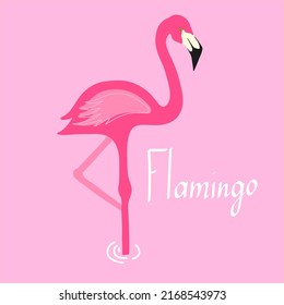 A flamingo on a pink background template.   A postcard, banner, brochure.