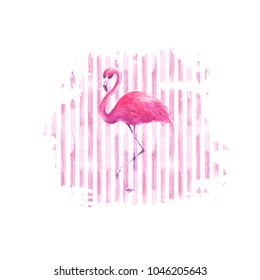 Flamingo on pink watercolor hand drawn striped spot background. Tropical exotic bird pink flamingo isolated on stripes background. Hand drawn illustration. Print for design, wrapping, cards, textile.