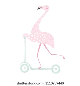 Flamingo on scooter cute print. Summer time. Tropical girl bird. Fashion child vector. Hand draw illustration for t-shirt, kids apparel and other design.