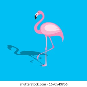 Flamingo sobre fondo azul cielo
