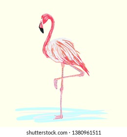 Flamingo on water. Pink bird. Vector illustration isolated on yellow background. Hand drawn illustration.