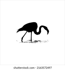 Flamingo on the Water Silhouette. Vector Illustration