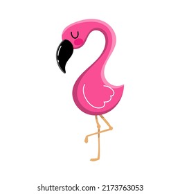 flamingo sobre el fondo blanco