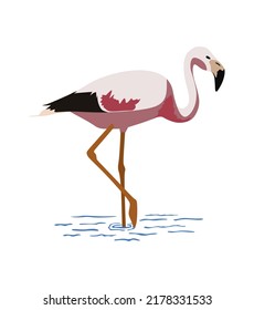Flamingo on white background. Light pink colors.