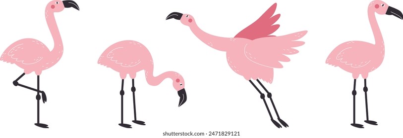 Flamingo on white background set. Beautiful pink birds.