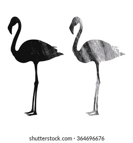 Flamingo on white background, vector illustration