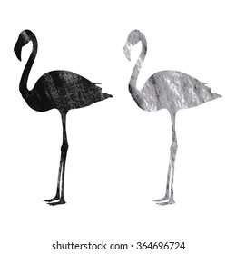 Flamingo on white background, vector illustration