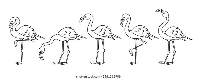 Flamingo outline clipart set. Flamingo icon lines summer bird clip art collection in different standing drawing pose vector illustration. 
