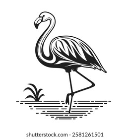 Flamingo outline icon clipart design. Summer flamingo bird clip art in black lines drawing cartoon in standing pose vector illustration. 