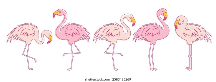 Flamingo outline icon clipart design. Summer pink flamingo bird clip art drawing sketch collection elements vector illustration.