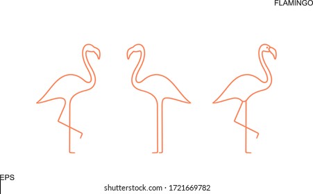 Flamingo outline. Isolated flamingo on white background