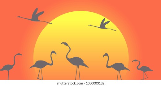 flamingo pack against the background of the big sitting-down sun