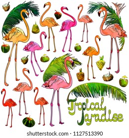 Flamingo and palm leaves. Tropical background. Vector illustration EPS10