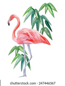 flamingo and palm leaves watercolor background