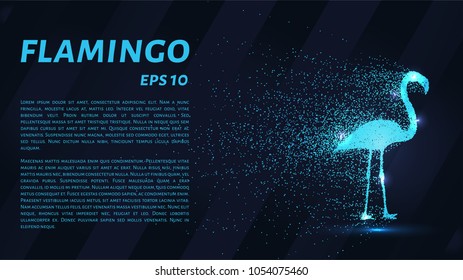 Flamingo of particles. Flamingo consists of circles and points. Vector illustration.