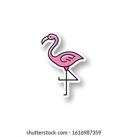 Parche Flamingo. Etiqueta grabable en color RGB. Exótico pájaro silvestre. Criatura tropical. Vida silvestre. Hábitats sudamericanos. Ilustración aislada de vectores
