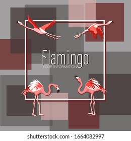 Flamingo. Patchwork background. Vector illustration with tropical birds in the background of geometric shapes in a frame. Pink flamingo for creative poster, invitation, flyer or card. Modern cover pag