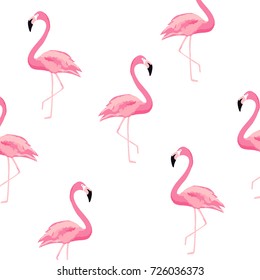 Flamingo pattern background. Flamingo poster design. Wallpaper, invitation cards, textile print vector illustration design