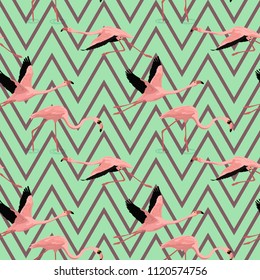 flamingo pattern seamless vector with  geometric background
