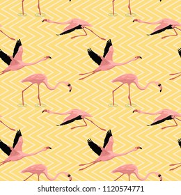 flamingo pattern seamless vector with  geometric background