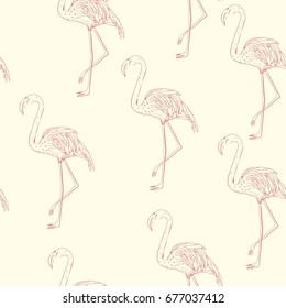 Flamingo pattern, vector, illustration