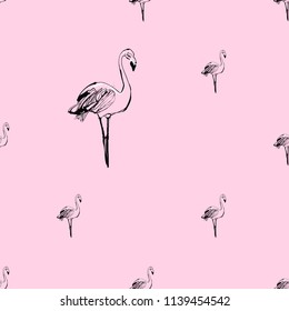 Flamingo pattern. Vector seamless background with tropical flamingo birds on pink backdrop. Black hand drawn graphic illustration.