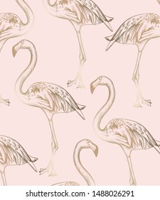 Flamingo pattern Vector. Vintage retro texture line art decor